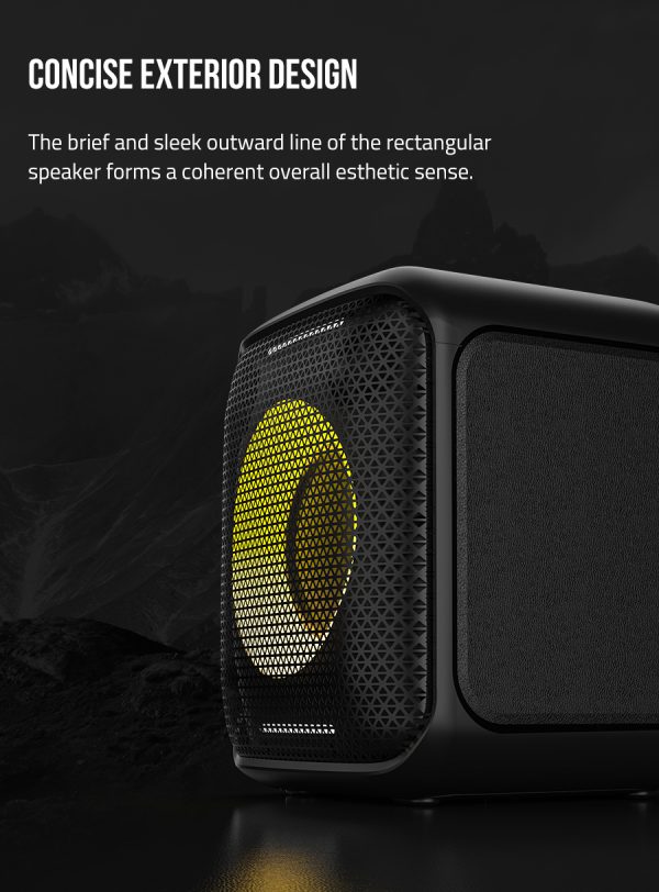 F&D Portable Wireless Party Speaker With Powerful Bass-PA100 Black