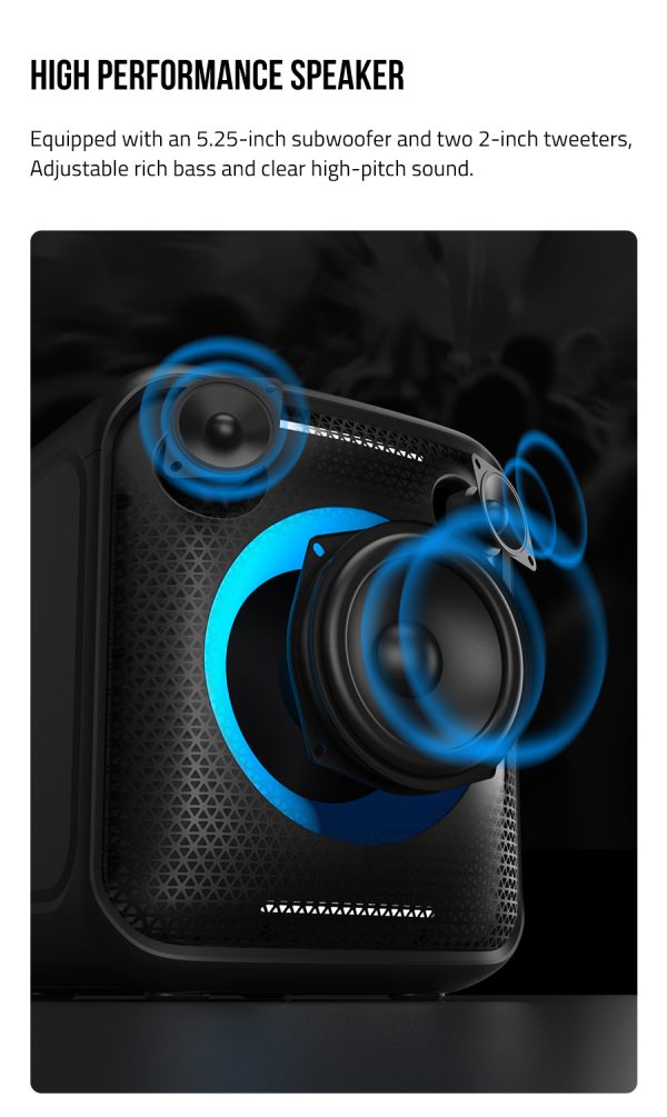 F&D Portable Wireless Party Speaker With Powerful Bass-PA100 Black